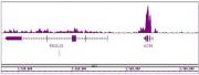 Histone H3K36me3 antibody (mAb) tested by ChIP-Seq.