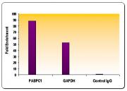 Histone H4K8ac antibody (pAb) tested by ChIP.