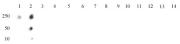 Histone H4R3me2s (symmetric) antibody (pAb) tested by dot blot analysis.