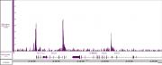 BRD3 antibody (pAb) tested by CUT&RUN