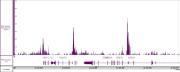 BRD2 antibody (pAb) tested by CUT&RUN