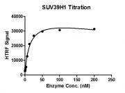 HTRF assay for SUV39H1 (82-412) activity.