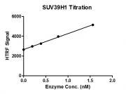 HTRF assay for SUV39H1 (82-412) activity.