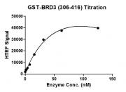 HTRF assay for BRD3 (206-416), GST-Tag activity