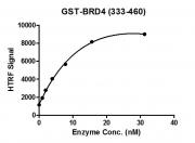 HTRF assay for BRD4 (333-460), GST-Tag activity