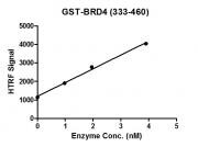 HTRF assay for BRD4 (333-460), GST-Tag activity