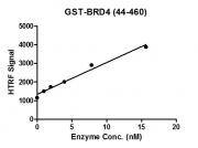 HTRF assay for BRD4 (44-460), GST-Tag activity