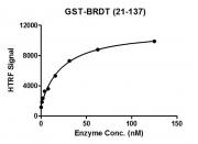 HTRF assay for recombinant BRDT (21-137) protein, GST-Tag activity