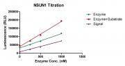 NSUN1 activity assay