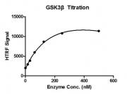 HTRF assay for GSK3&beta; activity