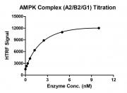 HTRF assay for AMPK Complex (A2+B2+G1) activity
