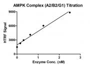 HTRF assay for AMPK Complex (A2+B2+G1) activity