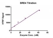 HTRF assay for BRD4 protein activity