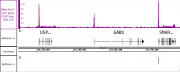 AbFlex<sup>&reg;</sup> RNA pol II CTD phospho Ser5 antibody (rAb) tested by ChIP-Seq.