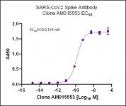 SARS-CoV-2 Spike Antibody (AM015553) tested by ELISA.